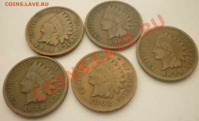 Лот №40. 5 монет по 1 центу США 1898-1902 до 22:00 14.07.11 - 1c_1898-1902_12