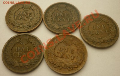 Лот №40. 5 монет по 1 центу США 1898-1902 до 22:00 14.07.11 - 1c_1898-1902_2