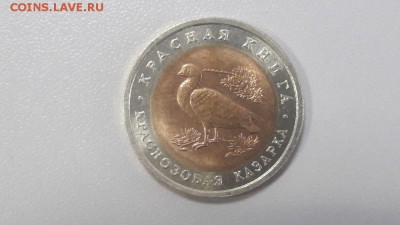 Красная книга: 10р 1992г. Казарка, до 28.07 - Ч Казарка-1