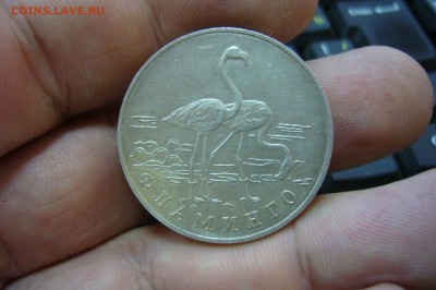 1 рубль 1997 Фламинго - 26-07-19 - 23-10 мск - 1