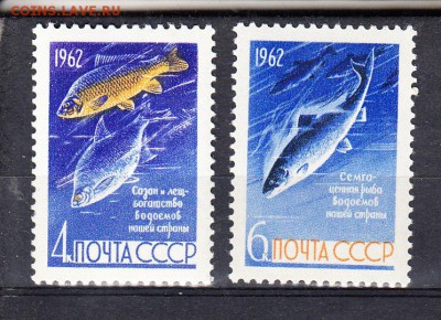 СССР 1962 рыбы 2м** до 28 07 - 106