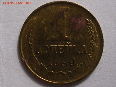 Браки на 1 копейке - DSCN4384