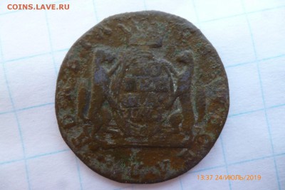 сибирская копейка - P1080740 (Large).JPG