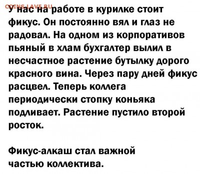 юмор - mzCDzXbmo70