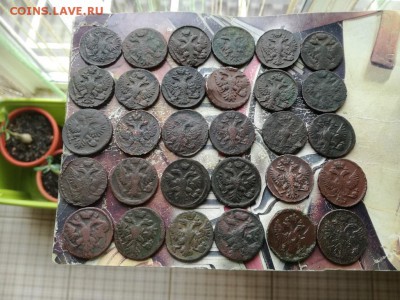 30 денег 1730-54, в приличном сохране до 28.07.2019 - 30ДЕН (2) - копия