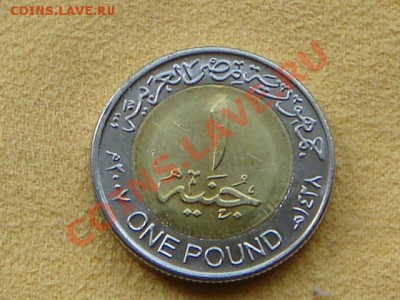 -v- Египет 1 фунт 2007 бимет. до 14.07(21.00) - DSC03192.JPG