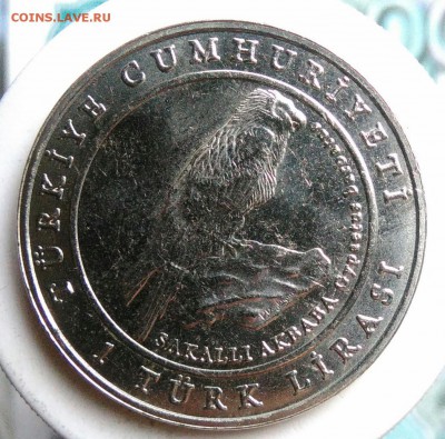 Турция 1 лира 2009 года Орел Могильник до 29.07.2019 - IMG_20190719_181204