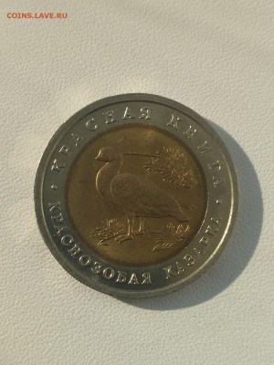 РОССИЯ,10 рублей 1992г(КК,Краснозобая казарка)до29.07.2019 - IMG_20190724_074350
