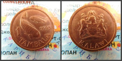 Малави 1 тамбала, 1995 - 1