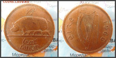 Ирландия ½ пенни, 1966 - 15