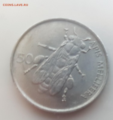  31.07.19 в 22:00 - 20190726_181848