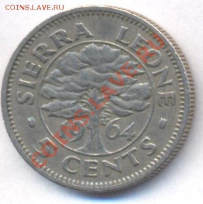 Сьерра Леоне 5 центов 1964 г.До 11.07.11 г. 21-00 МСК. - Сьерра-Леоне.1