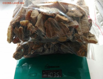 Килограмм Балтийского янтаря до 02.08 - P_20190708_142755_1