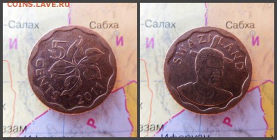Свазиленд 5 центов, 2011 - 4