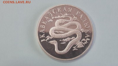 1р 1999г Кавказская гадюка- пруф серебро Ag900, до 05.08 - Y Гадюка-1