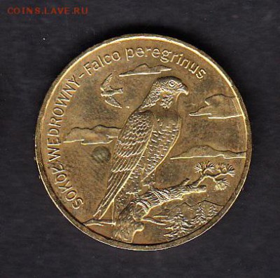 Польша 2008 птицы 2зл без оборота до 04 08 - 17