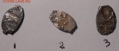 3 чешуйки, на определение и оценку. - 151