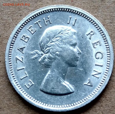 Южная Африка 1 шиллинг 1956 до 22-00 02.08 - IMAG2393~2