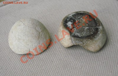Ископаемые окаменелости. Аммониты и др. - DSCN2814.JPG