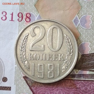 Разновидность 20 коп 1981 г шт 3.1 до 04.08 в 22.00 мск - IMG_20190723_113712