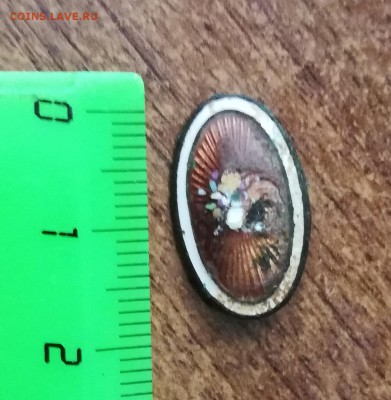 запанка - IMG_20190801_140656