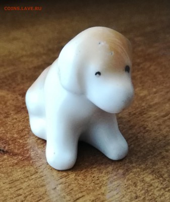 СОБАКА - IMG_20190801_140347