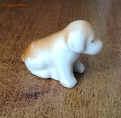 СОБАКА - IMG_20190801_140354