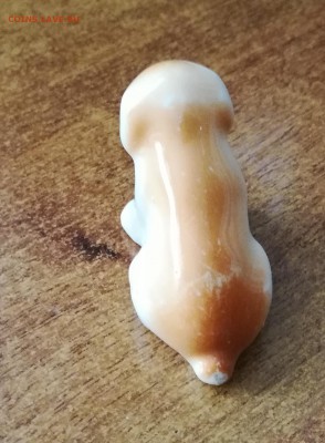 СОБАКА - IMG_20190801_140403