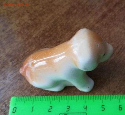 СОБАКА - IMG_20190801_140427