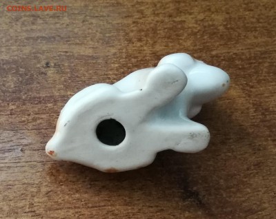 СОБАКА - IMG_20190801_140538