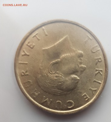  6.08.19 в 22:00 - 20190731_195142