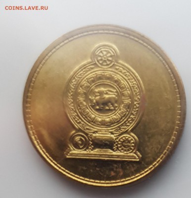  6.08.19 в 22:00 - 20190731_195628