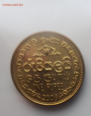  6.08.19 в 22:00 - 20190731_195622