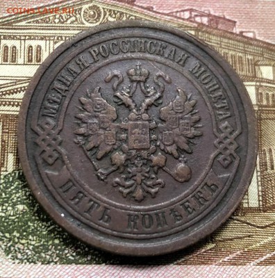 5 копеек 1881 с 200 руб. до 8.08.19 22:00 - IMG_4217-01-08-19-01-33