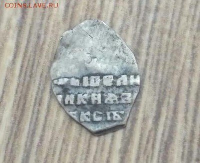 Две чешуйки на определение. - IMG-20190803-WA0009-1