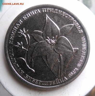 Приднестровье 1 рубль 2019 тюльпан до 07.08.2019 - IMG_20190802_180556
