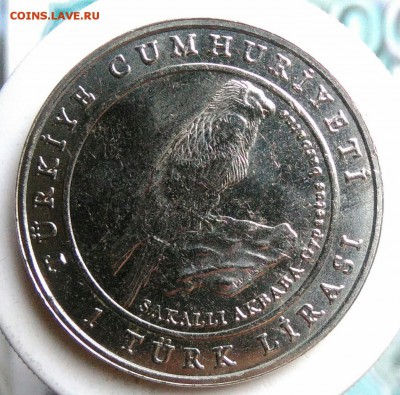 Турция 1 лира 2009 года Орел Могильник до 07.08.2019 - IMG_20190719_181204