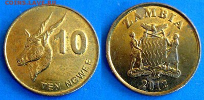 Замбия - 10 нгве 2012 года (Фауна) до 10.08 - Замбия 10 нгве 2012
