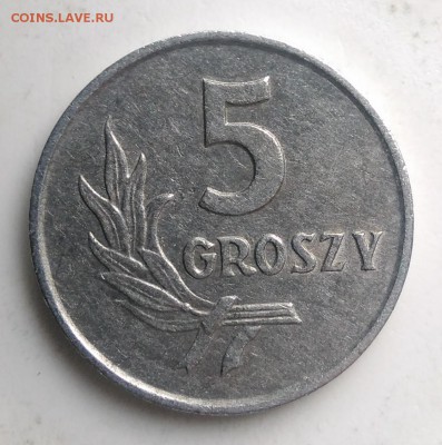 Польша 5 грошей 1970 года до 07.08.2019 - IMG_20190725_184908