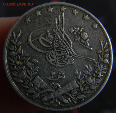 2 кирш египет - DSCN5892_thumb