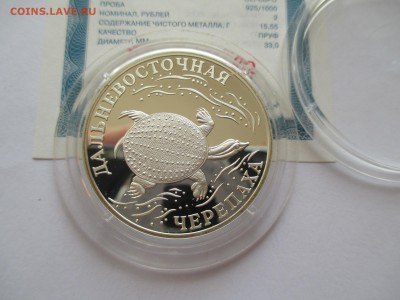 2р 2003 Дальневосточная черепаха - IMG_0263.JPG