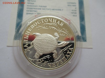 2р 2003 Дальневосточная черепаха - IMG_0262.JPG