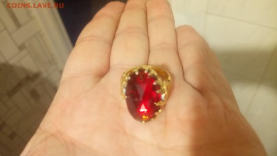 На оценку колько - DSC_3966.JPG