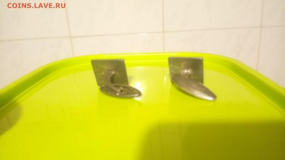 Запонки на оценку - DSC_3990.JPG
