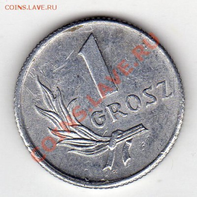 Польша грош 1949 до 13.07.11 в 21.00мск - img243