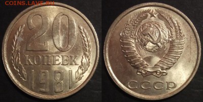 20 копеек 1981 г UNC до 10.08.2019 в 22:00 мск - 162_lTzull9N_A8