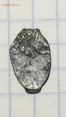 Чешуя на определение - 7CB9BBF5-CF81-4F36-AF49-9E349296D32A