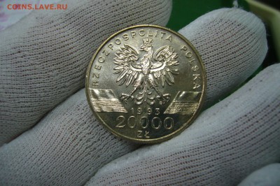 20000 злотых 1993 ласточки - 11-08-19 - 23-10 мск - P2150289.JPG