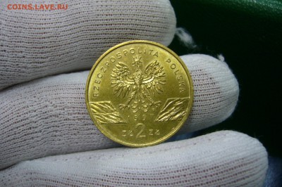 2 злотых 1997 жук - 11-08-19 - 23-10 мск - P2150432.JPG