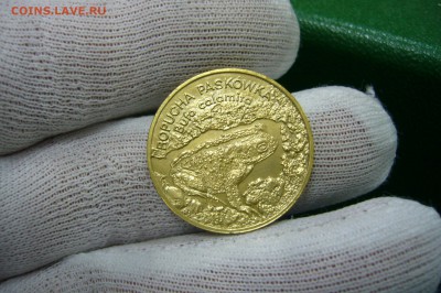 2 злотых 1998 жаба - 11-08-19 - 23-10 мск - P2150453.JPG